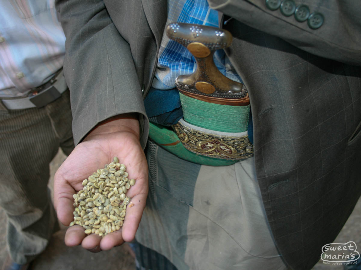 A farmer shows us dried green coffee from their farms in the Saih valley region of Yemen.
