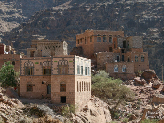 Stone buildings tower over complex terraced gardens carved in the mountainside below.