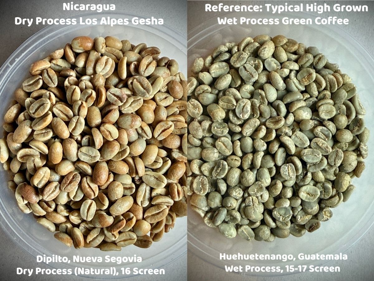 Nicaragua Dry Process Los Alpes Gesha