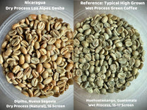 Nicaragua Dry Process Los Alpes Gesha