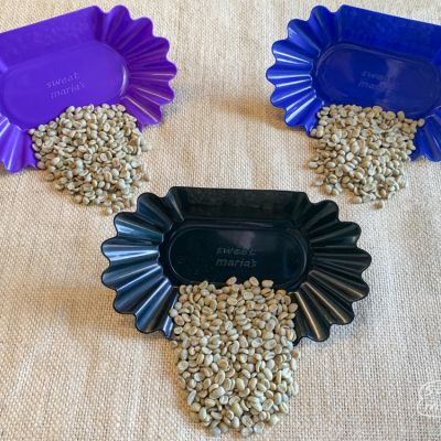 Cupping Tray in a Trio of Colors With Beans