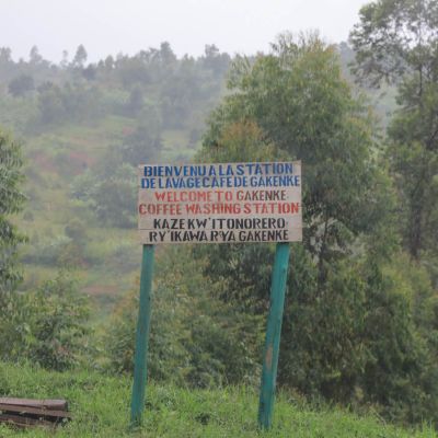 A misty morning visit at the Gakenke green coffee processing site in Gatara Commune, Kayanza, Burundi.