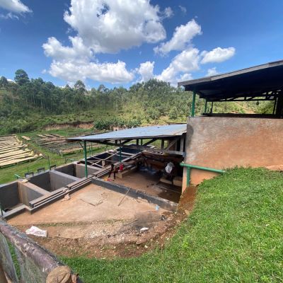 A view from the top of the Kibingo wet mill helps to illustrate how the coffee processing moves from top to bottom - pulper, to fermentation tanks, to the drying beds below. Kayanza, Burundi.