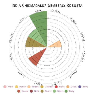 India Chikmagalur Gemberly Robusta