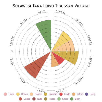 Sulawesi Tana Luwu Tibussan Village