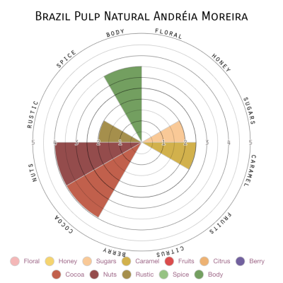 Brazil Pulp Natural Andréia Moreira