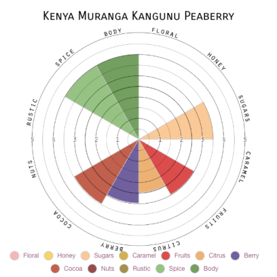 Kenya Muranga Kangunu Peaberry