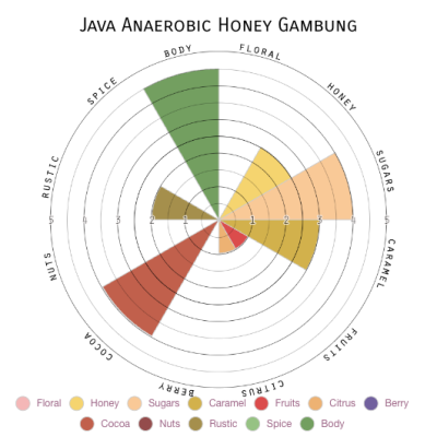 Java Anaerobic Honey Gambung