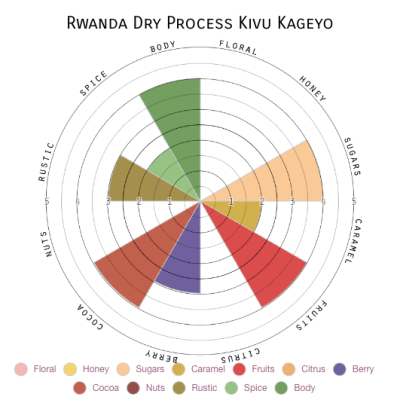 Rwanda Dry Process Kivu Kageyo
