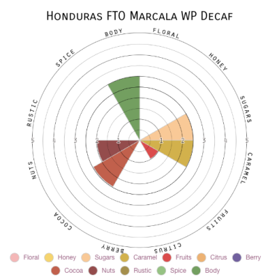 Honduras FTO Marcala WP Decaf