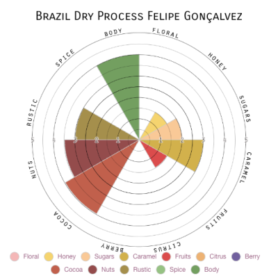 Brazil Dry Process Felipe Gonçalvez