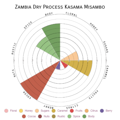 Zambia Dry Process Kasama Misambo