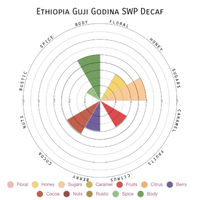 Ethiopia Guji Godina SWP Decaf