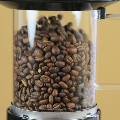 Fresh Roast SR800