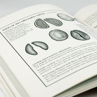Home Coffee Roasting: Romance and Revival by Kenneth Davids