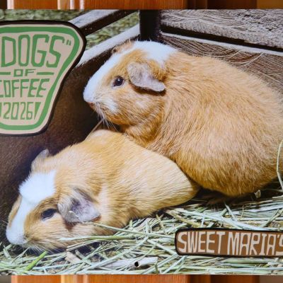Sweet Maria's "Dogs" of Coffee Calendar 2026