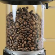 Torréfacteur à Café Behmor Fresh Roast SR-800 – Neuf, 110V