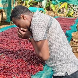Ethiopia Dry Process Chelchele Shitaye Abebe