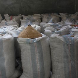 Sumatra Wet Hulled Pak James