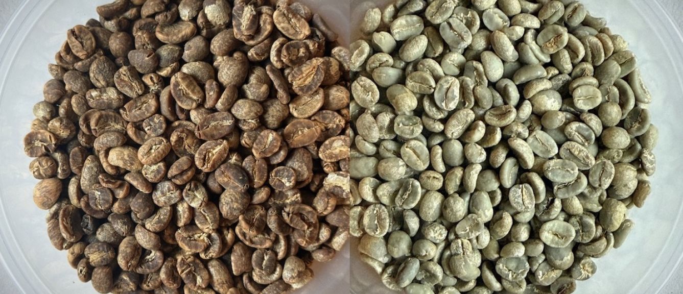 Sumatra Aged Gayo - 5 Year Vintage
