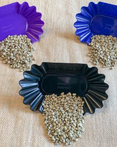 Cupping Tray in a Trio of Colors With Beans