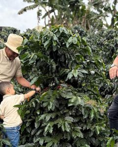 Franky (right) at his farm, Buena Vista, with his father and son. Pitalito, Colombia.