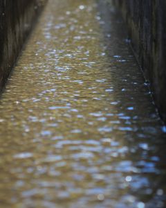 Rippling water in the cement washing channel at a wet mill in Huehuetenango, Guatemala.