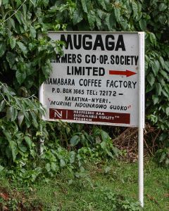 The sign pointing the way to Kiamabara Coffee Factory, where whole cherry from the surrounding farmers and cooperative members is processed down to green coffee. Karatina, Nyeri County, Kenya.