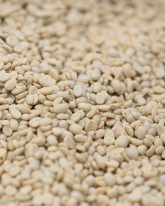 Parchment-covered coffee drying on raised beds at one of the coffee cooperatives who contributed to this blend. 
