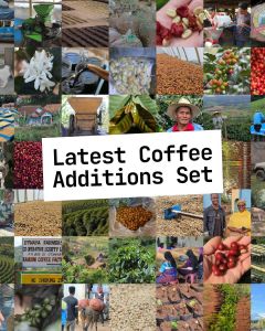 Set: Latest Coffee Additions
