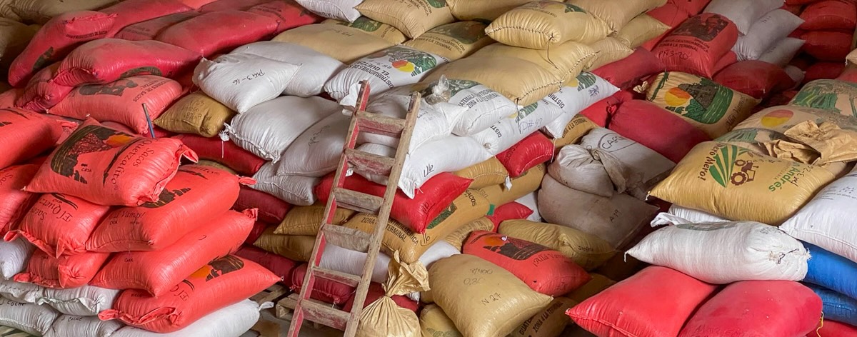 Our Guatemalan coffee is directly sourced via Proyecto Xinabajul.