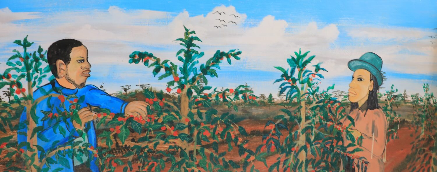 Learn more about Kenya coffee production in a Q&A with Thompson and Dan.