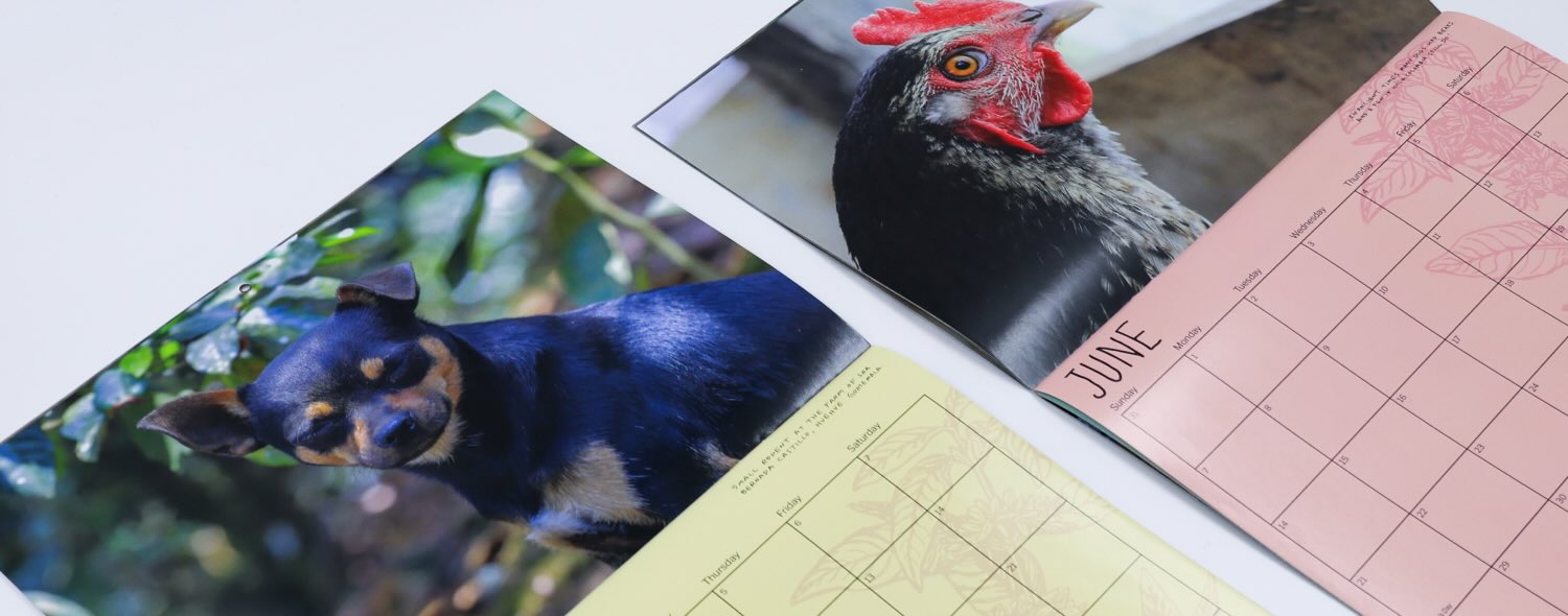 The 2026 'Dogs' of Coffee Calendar is here!