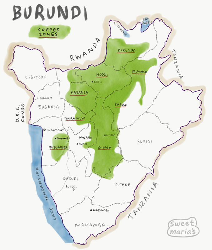 A map of Burundi with its coffee growing regions colored in.