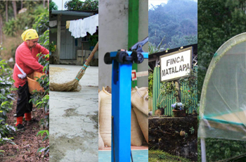 Button linking to the Coffee Producing Countries section of Sweet Marias library