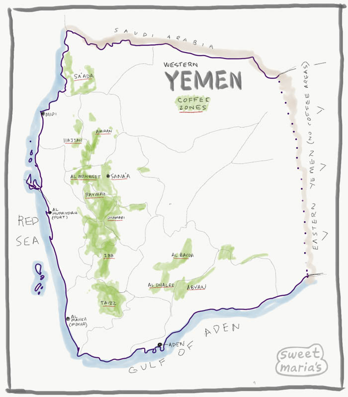 Arabia, Yemen Green Coffee Beans for Home Roasting